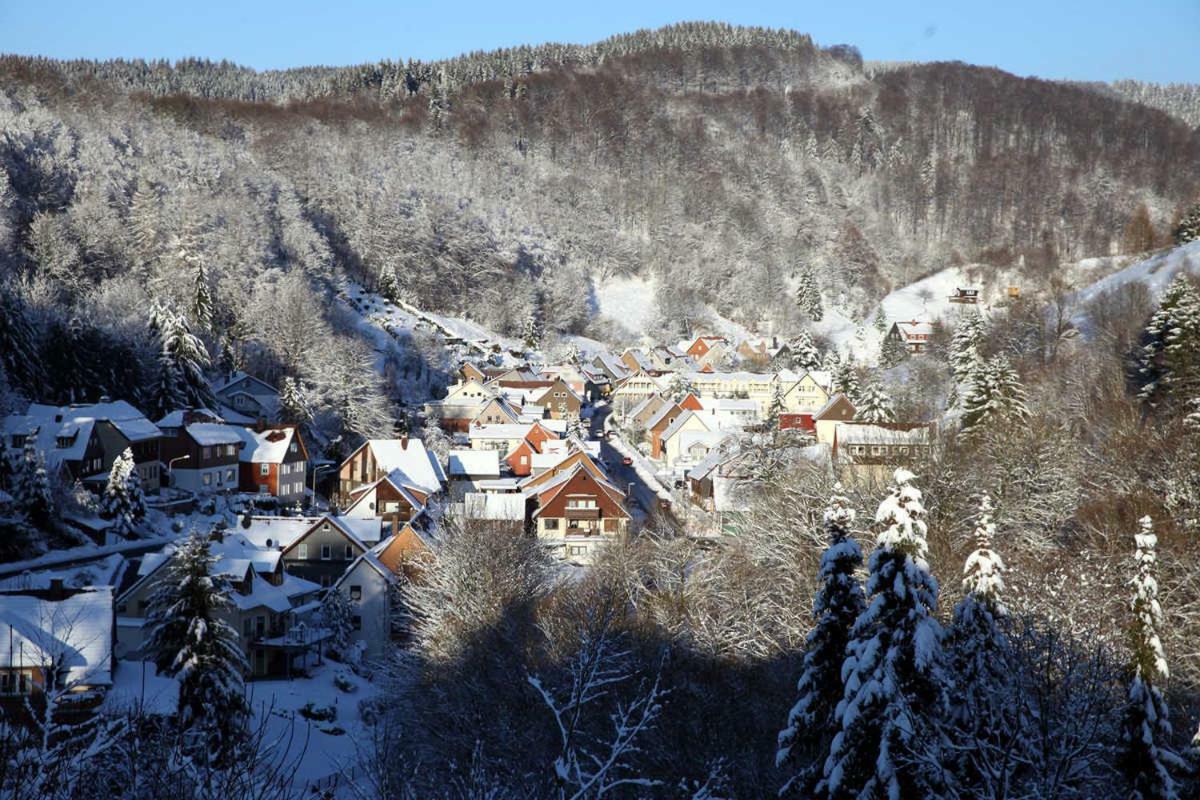 Fewo-Lerbachtal Osterode am Harz Exterior foto