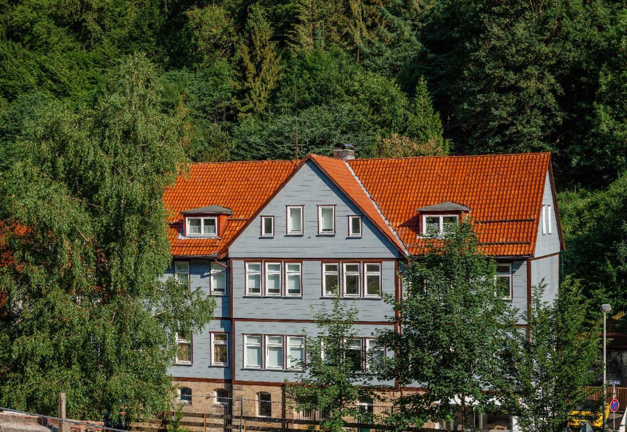 Fewo-Lerbachtal Osterode am Harz Exterior foto